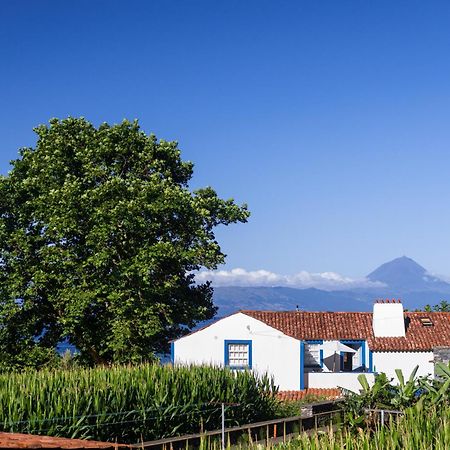 Casas Dos Vimes Villa Faja dos Vimes ภายนอก รูปภาพ